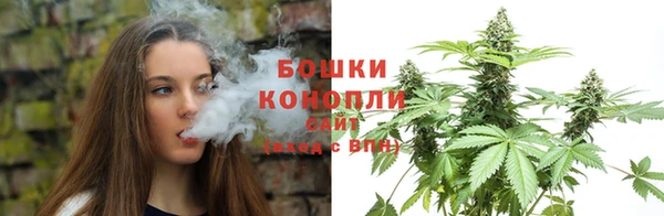 шишки Арсеньев