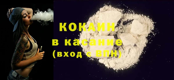 шишки Арсеньев