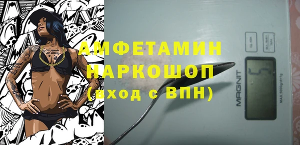 шишки Арсеньев