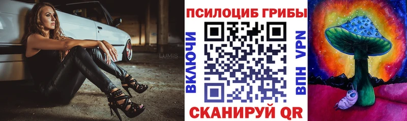 Псилоцибиновые грибы Psilocybine cubensis  купить закладку  Реутов 