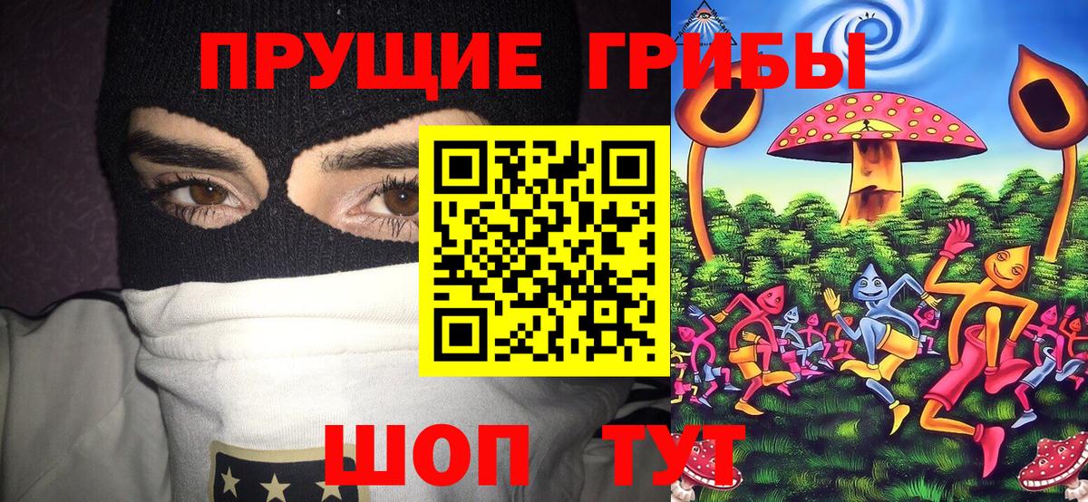 Реутов  Псилоцибиновые грибы Cubensis  Вход с VPN 